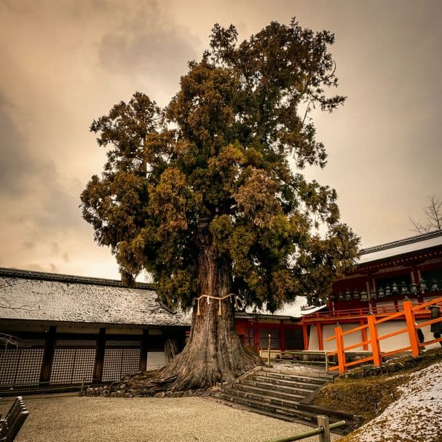 Kasuga Taisha