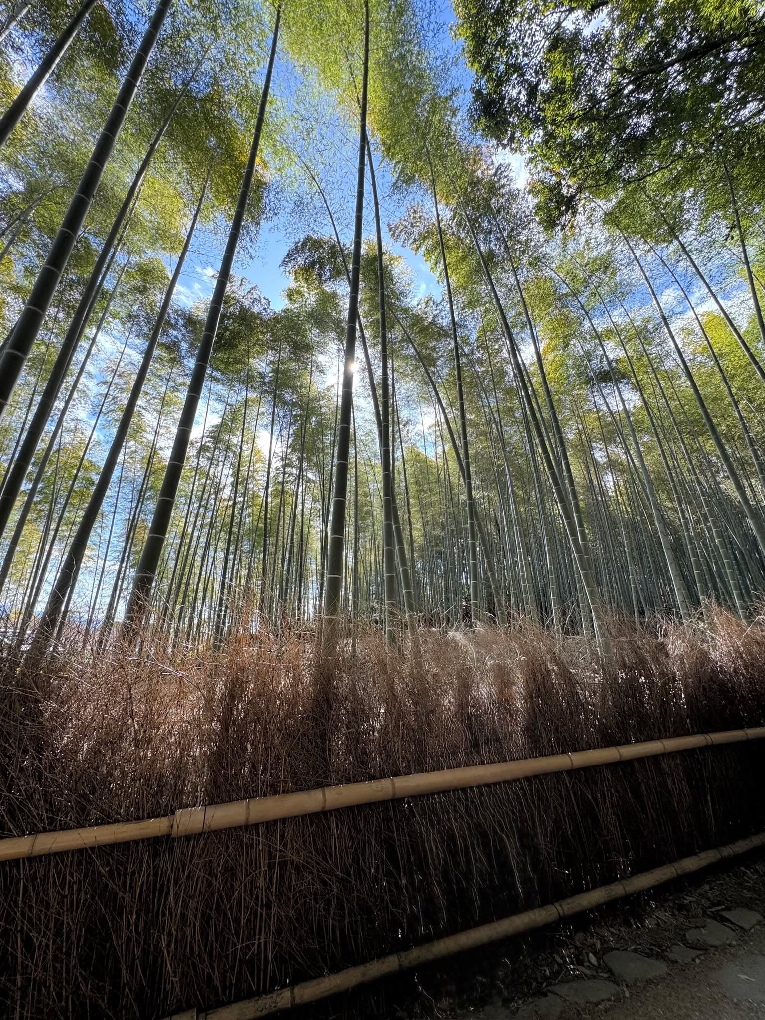Kyoto